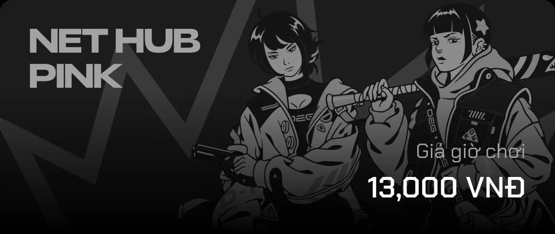 NetHub